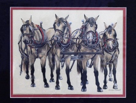 Pen and ink drawing of a four-horse team by Dolores Chadwell